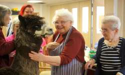 Gold (Growing Old with Learning Difficulties)